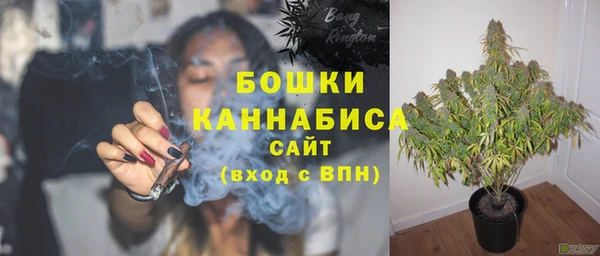 сатива Покровск