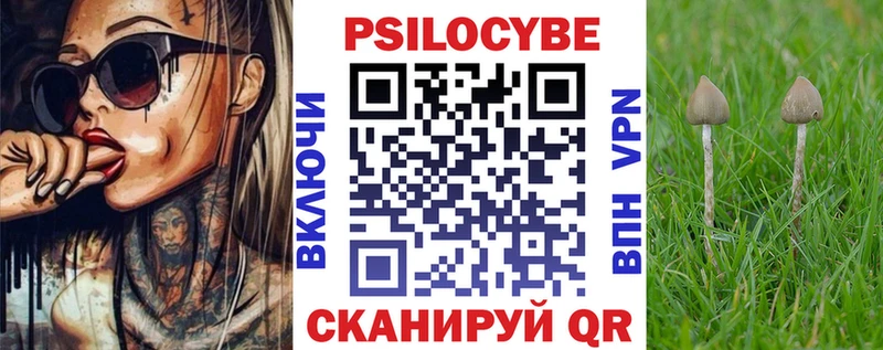 хочу наркоту  Ивантеевка  Псилоцибиновые грибы Magic Shrooms 