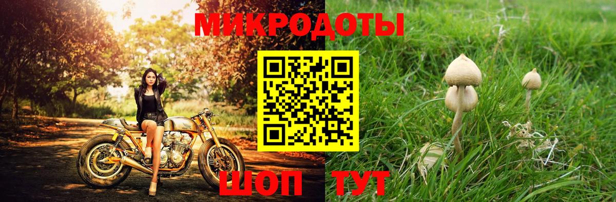 Псилоцибиновые грибы Magic Shrooms  Вход с VPN  Ивантеевка 