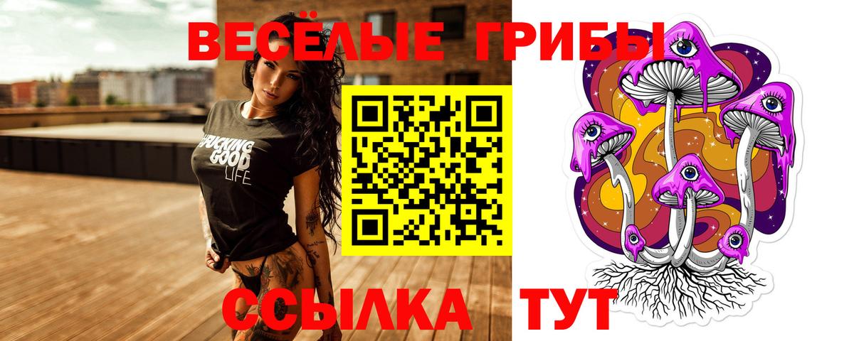 Псилоцибиновые грибы Cubensis Ивантеевка